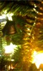 -1994-_955807.jpg