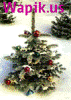Zhenya_796635.gif