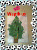 Zhenya_834697.gif