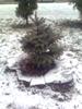 Zhenya_880050.jpg