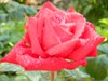 Vitall_231231.jpg