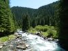 Vitall_421333.jpg