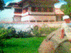 Vladgad500_510483.gif