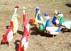 kmv-ok_378925.jpg
