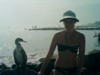 kmv-ok_557184.jpg