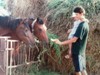 kmv-ok_930807.jpg