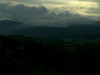 lilia2007_770284.jpg