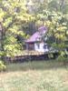 nefrett_656123.jpg