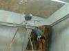 Kaktus_104158.jpg