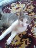 Katerinka0103_414938.jpg