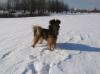 Malchuganov_746071.jpg