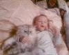 Sova_924175.jpg