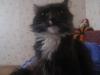 sixxx_320097.jpg