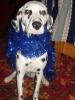 stanislava_832342.jpg