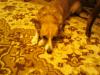 vitalic401_246855.jpg