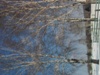 2000_412101.jpg