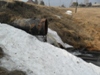 Гривская весна 89627760849