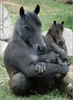 ABCDEF_264772.jpg