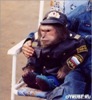ABCDEF_395278.jpg