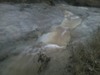 ALKaPoNe_732979.jpg