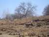 ALKaPoNe_817300.jpg