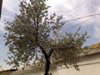 Kaktus_371078.jpg
