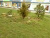 Katia-_728644.jpg