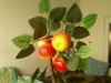 Katia-_962714.jpg