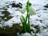 POMAHTUK89_318772.jpg
