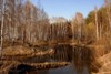 Smailik96_166344.jpg