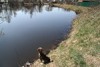 Smailik96_404311.jpg