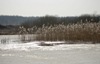 Smailik96_410475.jpg