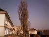 SterVo4ka_518776.jpg