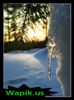 Zhenya_461495.jpg