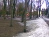 Zhenya_967970.jpg