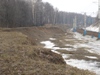 beegraf_653540.jpg