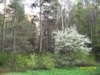 bienby_295453.jpg