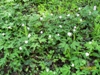 bienby_464791.jpg