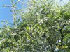 bienby_771806.jpg