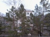 innes_325667.jpg