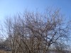 kroxa_112066.jpg