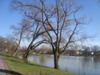 kroxa_211473.jpg
