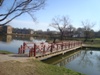 kroxa_330989.jpg