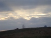 kroxa_351665.jpg