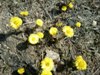 kroxa_492898.jpg