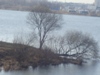 kroxa_552076.jpg