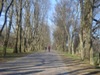 kroxa_736018.jpg