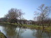 kroxa_741767.jpg