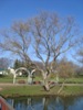 kroxa_758231.jpg