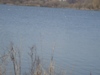 kroxa_956383.jpg